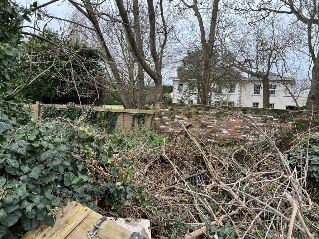 Lot: 115 - FREEHOLD COMMERCIAL PROPERTY IN HIGH STREET LOCATION - Area at rear of property showing growth during winter